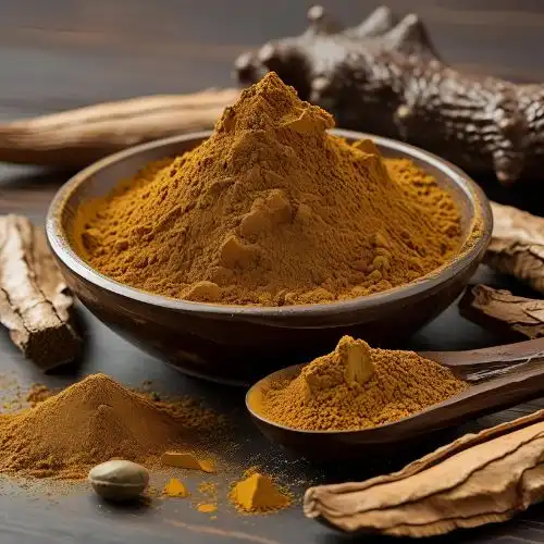 What Are the Benefits of Chaga Extract for Intestinal Health?